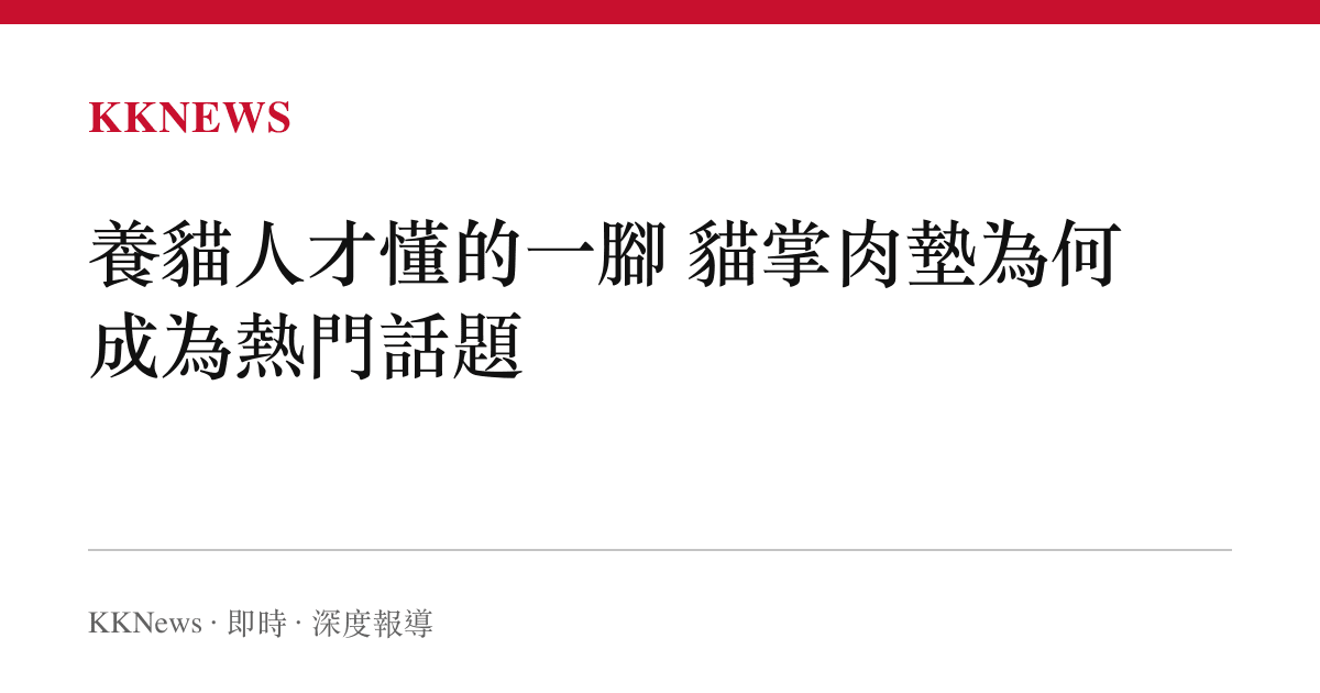 養貓人才懂的一腳 貓掌肉墊為何成為熱門話題