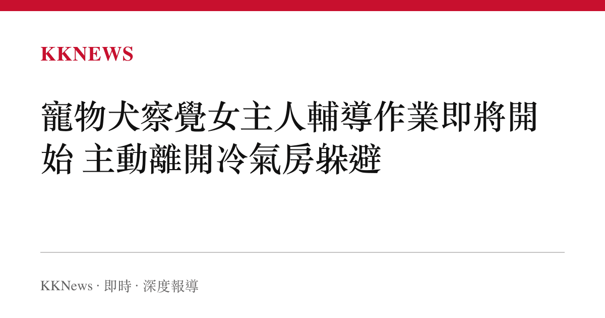 寵物犬察覺女主人輔導作業即將開始 主動離開冷氣房躲避