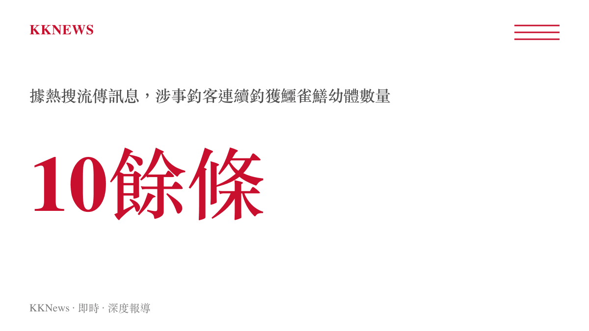 廣東河道連釣十餘條鱷雀鱔幼苗數據圖卡