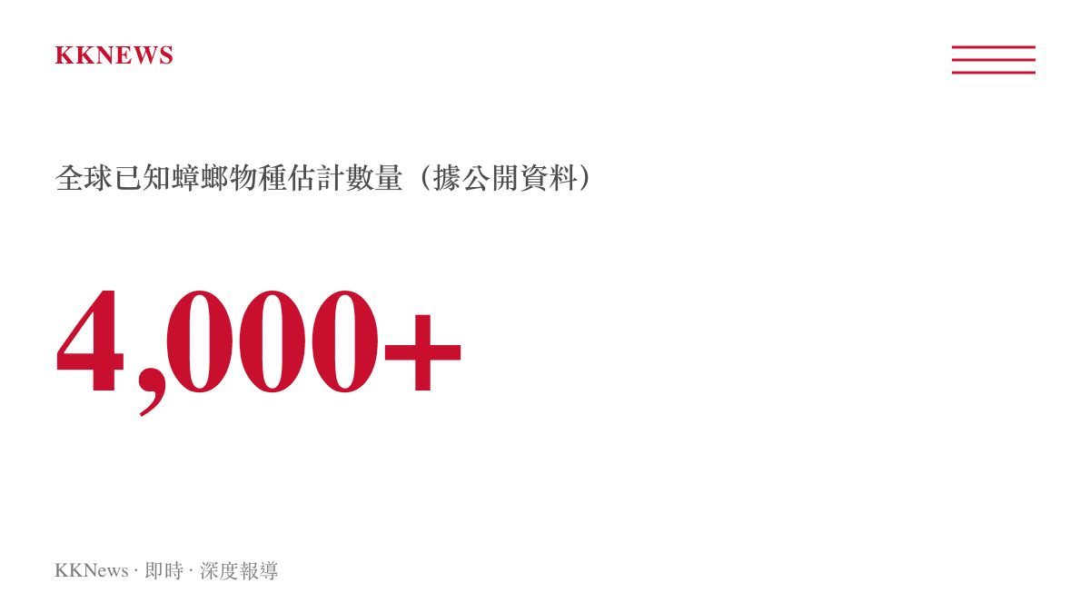 全球已知蟑螂物種數量估計超過四千種的統計圖卡