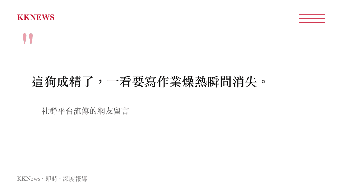 這狗成精了，一看要寫作業燥熱瞬間消失。