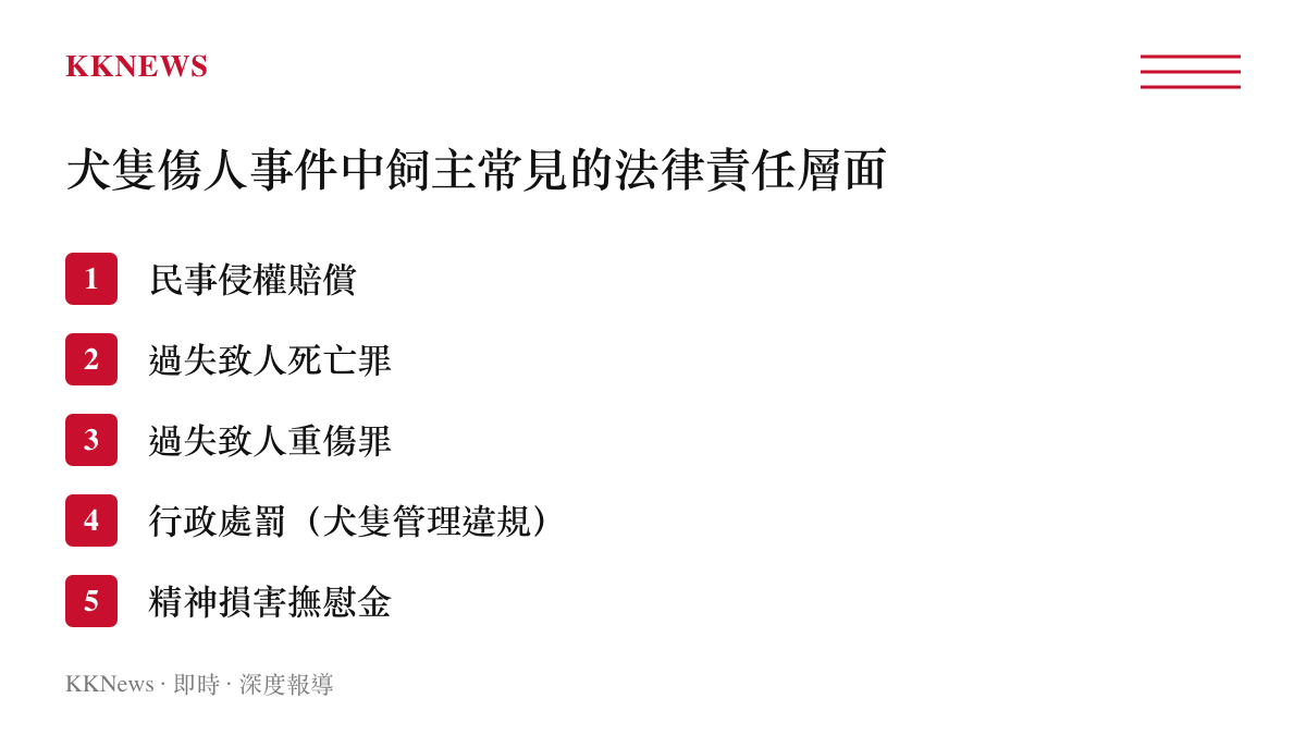 犬隻傷人事件飼主常見法律責任層面條列圖卡涵蓋民事賠償過失致死過失重傷行政處罰精神撫慰金