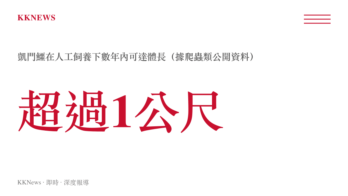 凱門鱷人工飼養下數年內可達超過一公尺體長的數據圖卡