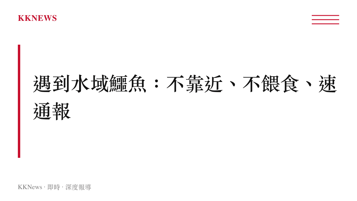 水域發現鱷魚時的三項核心自保原則圖卡
