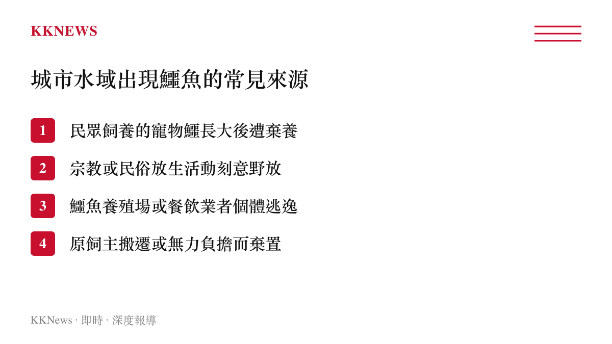 城市池塘出現鱷魚的四大常見人為來源示意圖卡